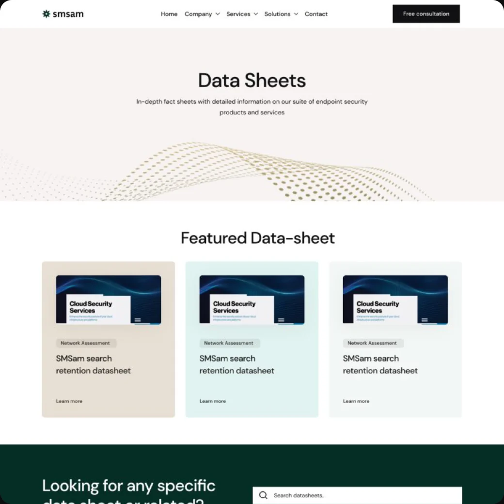 SmSam Systems data sheets page design